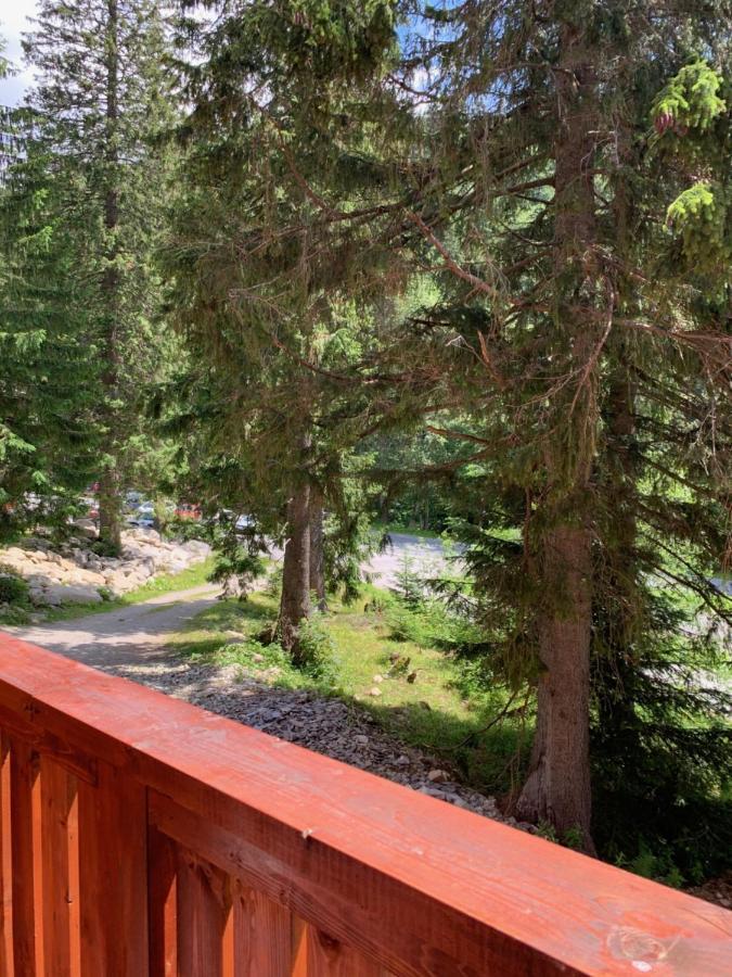 Apartmán Jeleň Chopok Juh-Trangoška Tale Exterior foto